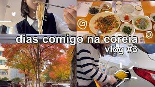 dias comigo na coreia vlog #3  | escola, acad, daiso, comida etc