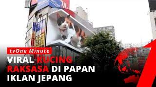 Kucing Raksasa Muncul di Papan Iklan di Sekitar Stasiun Shinjuku | tvOne Minute