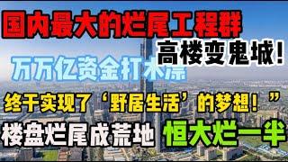 国内最大的烂尾楼群惨状，烂尾工程 烂尾别墅群 恒大能占一半 豪宅梦碎！烂尾楼盘变废地，买房像中了‘荒野生存’的头奖！#烂尾#工程#