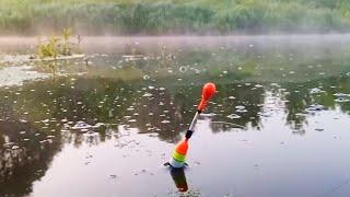 Рыбалка на поплавок с кормушкой в ОСЁНКАХ