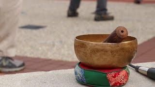 World Tai Chi and Qigong Day of Peace