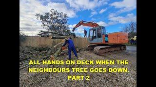 ALL HANDS ON DECK TO MOVE THE FALLEN TREE. PART 2