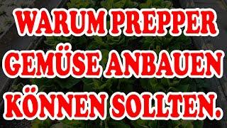 Gründe warum jeder Prepper auch Selbstversorger sein sollte Krisenvorsorge Autarkie Sebstversorgung