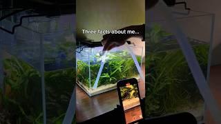 Three facts about me - Nanoscape