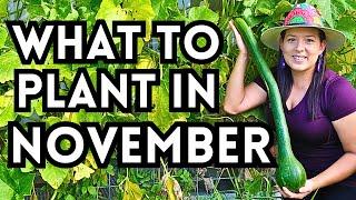 Top 30 Veggies To Plant In November For A Thriving Fall Garden