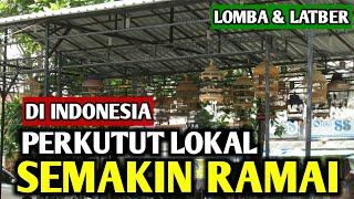 LOMBA PERKUTUT LOKAL DI INDONESIA SEMAKIN RAMAI !!