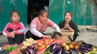 Peach forest to bring bamboo, Harvest tomatoes, eggplants, Bring to sell, Plaster fish tanks