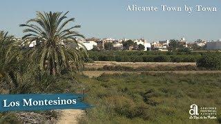 LOS MONTESINOS. Alicante town by town