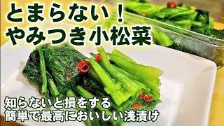 バズってます！簡単で野沢菜より旨い！小松菜の浅漬け/作り置きレシピ常備菜/副菜/保存食/漬物/簡単節約 小松菜大量消費レシピ