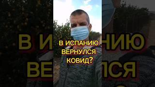 В Испанию вернулся ковид? #испания #ковидвиспании #иммиграция #внжиспании #переездвиспанию#эмиграция