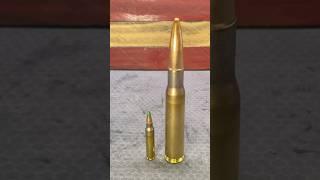 What’s the difference between 5.56 and 50 BMG?? #military #combatready #callofduty #militaryguns