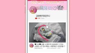 두두 홍보설차미용!/반모자들 안오면 실망...ㅠㅠ