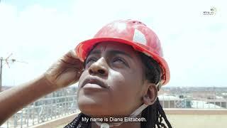 Diana Telecommunications Engineer; African Silences, Heard!