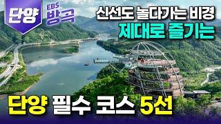 [충북 단양] '신선도 반해 놀다가는 곳' 여름 여행 계획 중이면 꼭 가봐야 할 단양 여행지 5곳┃도담삼봉┃스카이워크┃단양강 잔도┃단양구경시장┃국내여행┃#고향민국 #방방곡곡