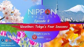 When to Visit Japan!? [Nippon Traveler]