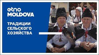 Премьера «Этно-Молдова»: Традиции Сельского Хозяйства - Не Пропустите 17 Ноября на Jurnal TV