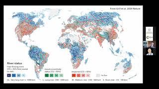 Webinar: Challenges & potentials of river restoration & conservation in Europe