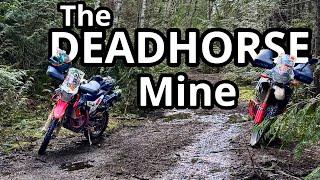 First Ride of 2025 - Dead Horse Mine - Dualsploring Van Isle S5 E1