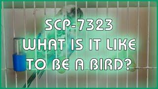 SCP 7323 - What Is It Like to Be a Bird?