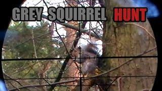 Chasing Grey Squirrels ~ Air Gun Hunt ~ Scope Cam