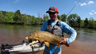 INSANE BITE During the Carp Spawn | Kayak Carp Fishing