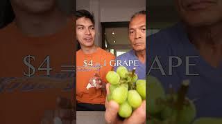 the world's most expensive grapes...