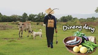 DINENGDENG catching tilapia and picking bamboo shoot for lunch time | Ilocano food taste life |31|