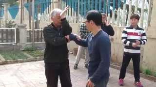 chenshi taijiquan practical method   태극권 발경