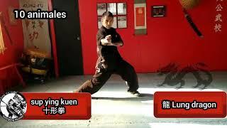 10 animales CHOY LEE FUT kung fu