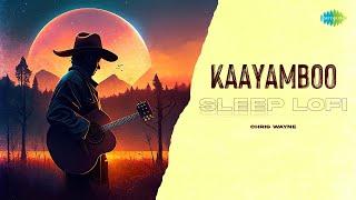 Kaayamboo - Sleep Lofi | Nadhi | G. Devarajan | K.J. Yesudas | Chris Wayne