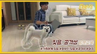 [SOON] 외부손님에게 공격성이 있는 강아지 교육하기