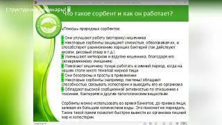 Что такое сорбенты и как они работают? Ольга Петрунина.