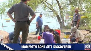 20,000- year-old mammoth remains discovered in Central Texas