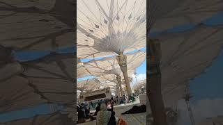 masjid e nabvi view #kaba#umrahvlog#umrahtrip#madina#Hazrat Muhanmad (S.AA.W) #travel #travelvideo