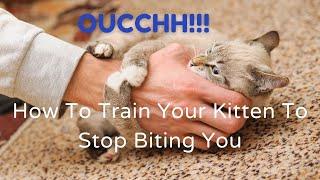 7 Tips - How to Stop Your Kitten From Biting Hands and Feet.