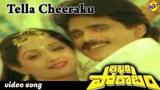 Tella Cheeraku Video Song | Aakhari Poratam Telugu Movie Songs | Nagarjuna | Sridevi | TVNXT Music