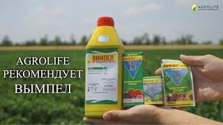 Стимулятор роста Вымпел | Agrolife рекомендует