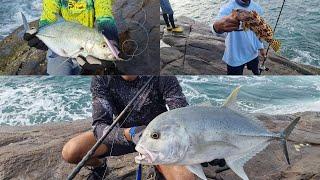 MULTI SPECIES LEDGE FISHING ADVENTURE - Hunting Trevally GT | Surf Casting - Shore Jigging Sri Lanka