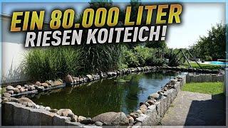 Ein 80.000 Liter RIESEN Koiteich!