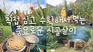 sub)Pleasure of Planting and Harvesting what we eat by ourselves in Korean countryside life