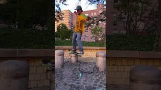 Which trick is the best? Sean Snow #skateboardingisfun #shorts #sk8