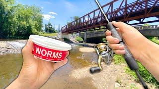 Eating Whatever I Catch.. Creek Fishing w/ WORMS (Catch and Cook)