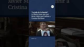 El presidente Javier Milei habló de las críticas de Cristina Kirchner a su plan económico