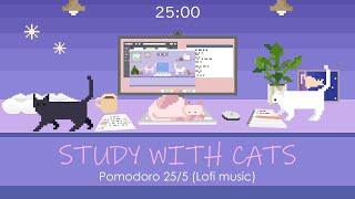 Study with Cats ️ Pomodoro Timer 25/5 | Chill Study Session with cats & lofi music