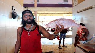 Amazing Fresh Spangled Emperor Filleting | Fish Cutting Skills Sri Lanka