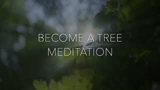 BECOME A TREE - MEDITATION