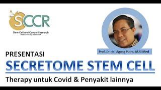 SECRETOM Stem Cell (Mesenchymal Stem Cell) - Prof. Dr. dr. Agung SCCR