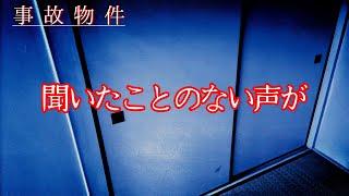 【事故物件】家に来た二人組のその後と知らない声【心霊、ユーチューバー】YouTuber、霊視、呪物、幽霊と同居、霊、オカルト、同棲、座敷童子、座敷わらし