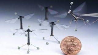 first controlled flight of an insect-sized robot