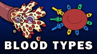 BLOOD TYPES - ABO and Rh Blood Group Systems